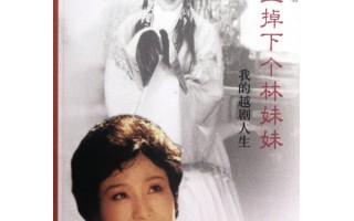 天上掉下个林妹妹越剧唱词，天上掉下个林妹妹越剧唱词是什么