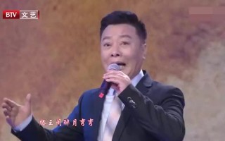 张辉黄梅戏经典唱段大全，张辉黄梅戏经典唱段大全视频