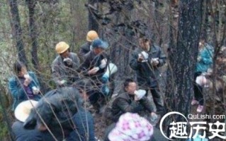 一九九五年安徽巨蟒渡劫，一九九五年安徽巨蟒渡劫事件